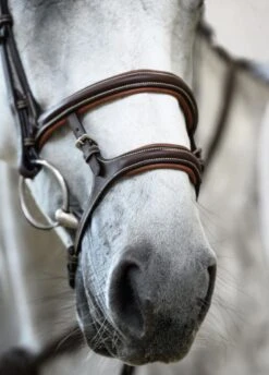 PS Of Sweden Paris Bridle - Brown -Equi Guard Horse Shop parisbrn5rdy