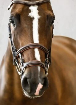 PS Of Sweden Paris Bridle - Brown -Equi Guard Horse Shop parisbrnrdy