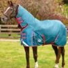 Weatherbeeta ComFiTec Plus Dynamic Combo Medium/Lite Turnout - Teal/Cer/Yell