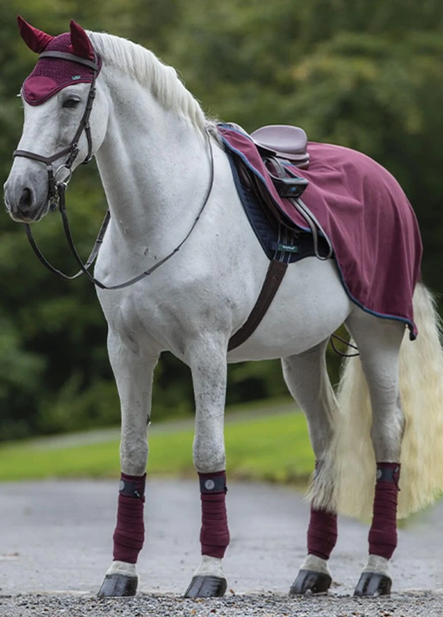 Rambo Waterproof Fleece Competition Sheet - Burgundy/Teal/Navy 1 Rambo Waterproof Fleece Competition Sheet - Burgundy/Teal/Navy