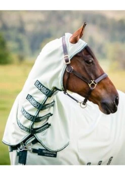 Rambo Hoody - Green/Sage 7 Rambo Hoody - Green/Sage -Equi Guard Horse Shop rambo hoody green sage 4rdy