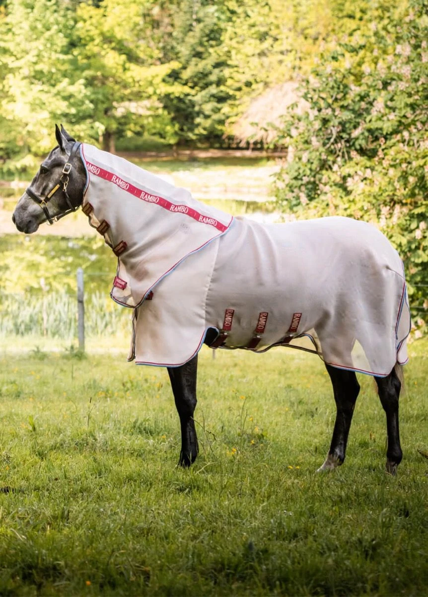 Rambo Protector Disc Front - Oatmeal/Cherry 2 Rambo Protector Disc Front - Oatmeal/Cherry - Image 2