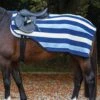 Rambo Fleece Competition Sheet - Navy Stripe