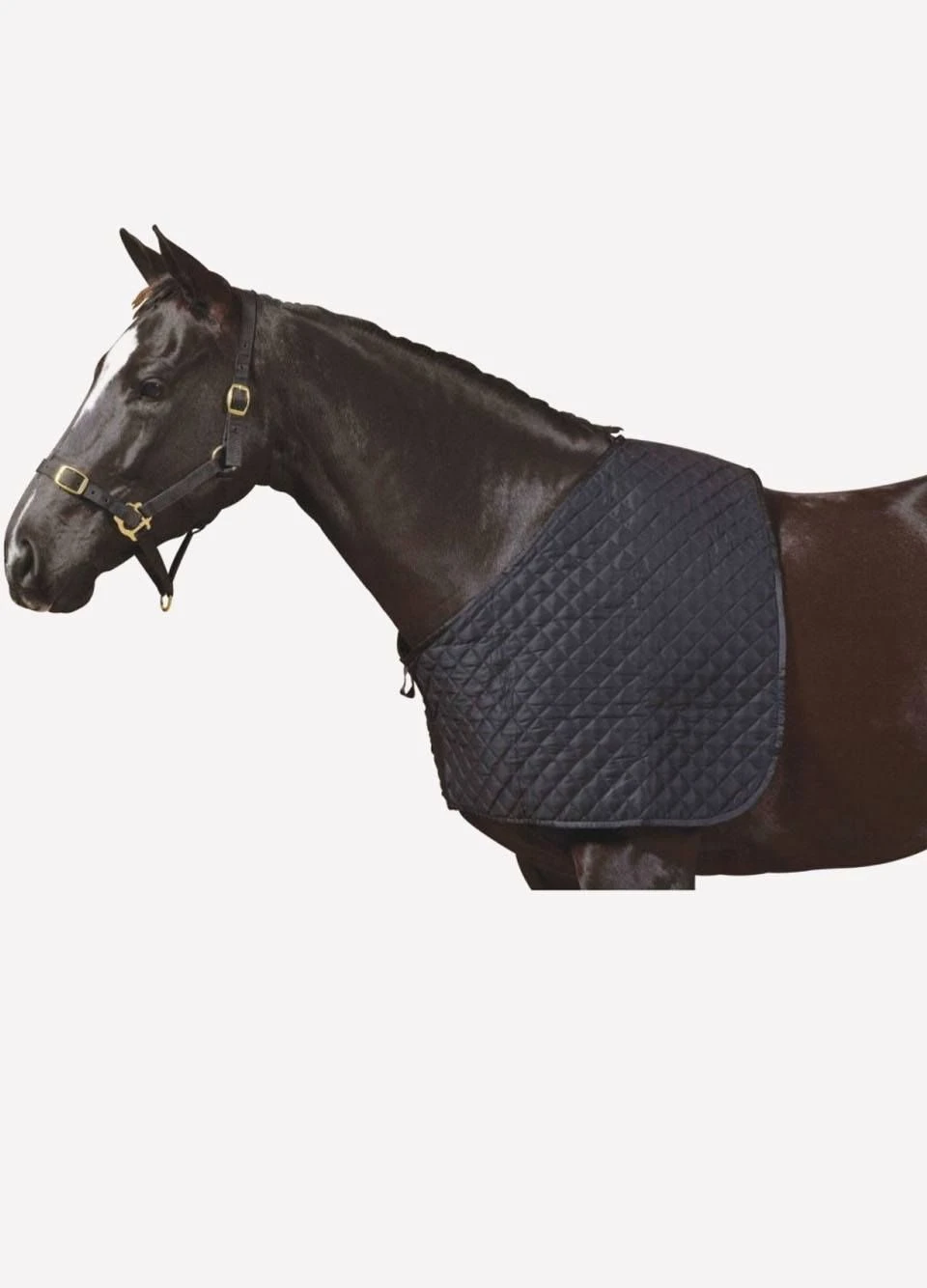 Weatherbeeta Deluxe Shoulder Guard - Black 2 Weatherbeeta Deluxe Shoulder Guard - Black - Image 2