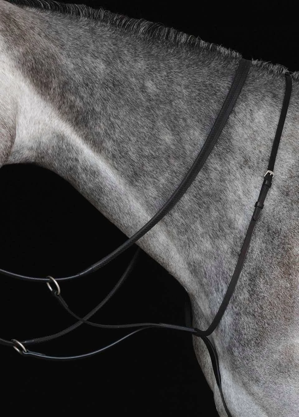 Collegiate New Running Martingale - Black 1 Collegiate New Running Martingale - Black