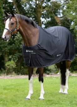 New Bucas Shamrock Power Rug - Black -Equi Guard Horse Shop shamrockpowerblkrdy