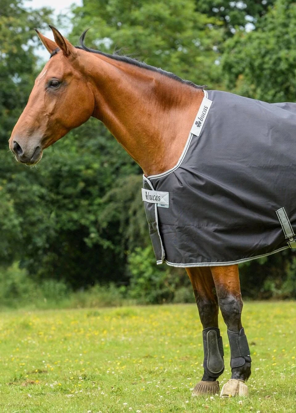 Bucas Smartex Rain Rug - Black 3 Bucas Smartex Rain Rug - Black - Image 3