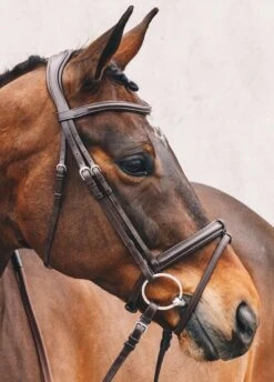 Schockemohle Tokyo Select Anatomical Bridle - Brown -Equi Guard Horse Shop tokyoselectbrn2rdy