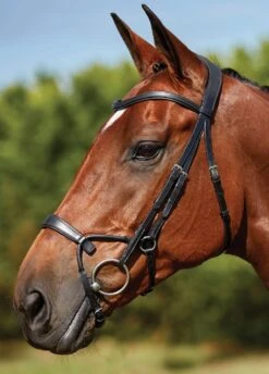 Collegiate Comfitec Training Bridle - Black -Equi Guard Horse Shop trainingbridleblkbrdy