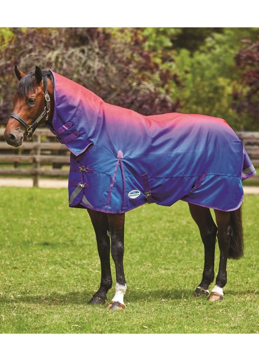 Weatherbeeta Comfitec Plus Dynamic Combo Lite Turnout - Purple Ombre 1 Weatherbeeta Comfitec Plus Dynamic Combo Lite Turnout - Purple Ombre