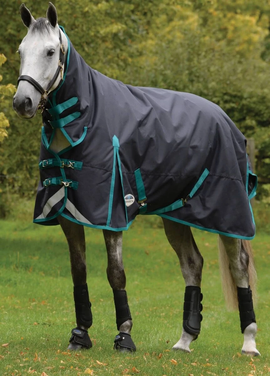 Weatherbeeta ComFITec Plus Dynamic II Combo Neck Medium - Black/Aqua 1 Weatherbeeta ComFITec Plus Dynamic II Combo Neck Medium - Black/Aqua