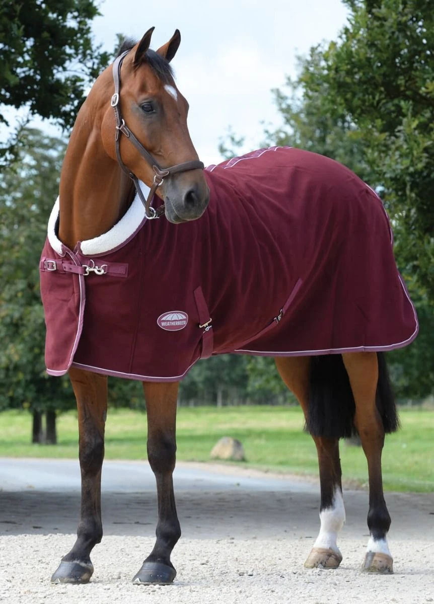 Weatherbeeta Sherpa Fleece Cooler - Maroon/White 2 Weatherbeeta Sherpa Fleece Cooler - Maroon/White - Image 2