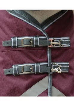 Equi Guard Horse Shop -Equi Guard Horse Shop weatherbeeta dynamic detach lite maroon 2rdy