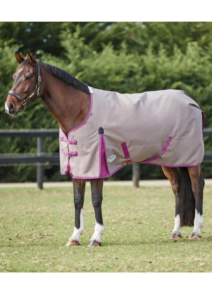 Weatherbeeta ComFITec Essential Standard Neck Lite Plus - Dark Grey/Orchid 1 Weatherbeeta ComFITec Essential Standard Neck Lite Plus - Dark Grey/Orchid