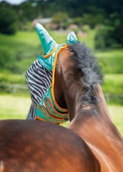 Shires Zeb-Tek Fly Mask - Zebra 5 Shires Zeb-Tek Fly Mask - Zebra -Equi Guard Horse Shop zebraflymasktealrdy