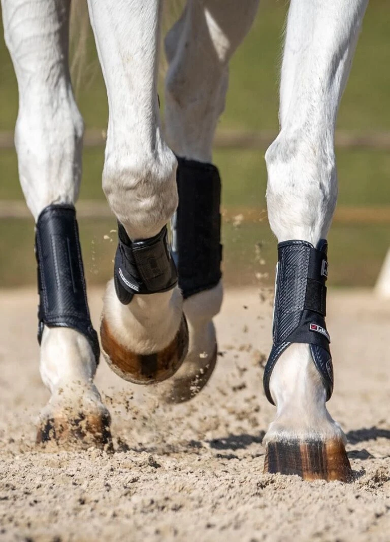 Equi Guard Horse Shop 32 Equi Guard Horse Shop -Equi Guard Horse Shop carbonxclifestylerdy 768x1069 1